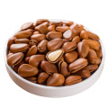 Good Quality Fresh Pine Nuts, Dried Pine Nuts For Sale